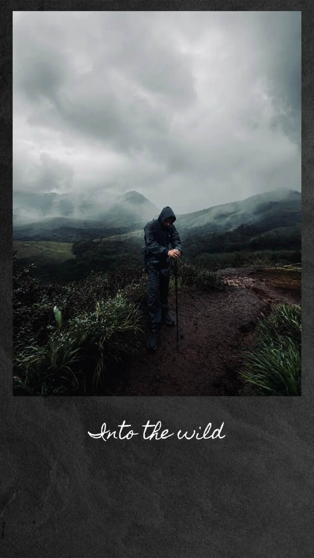 Into the wild